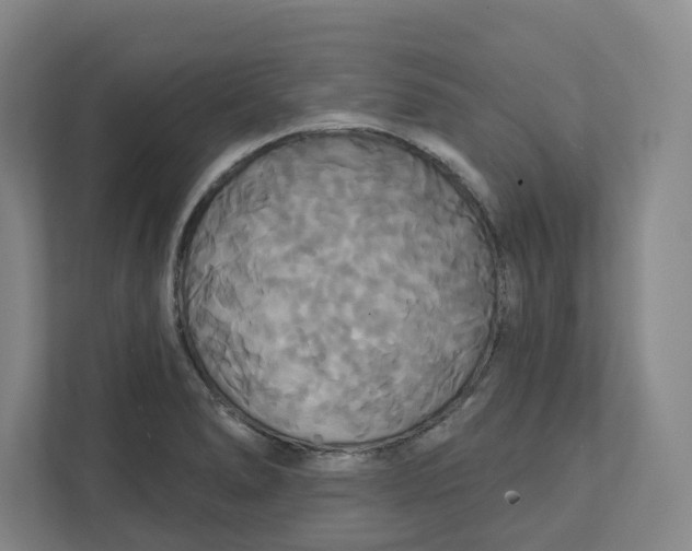 X0000111821278200908201123