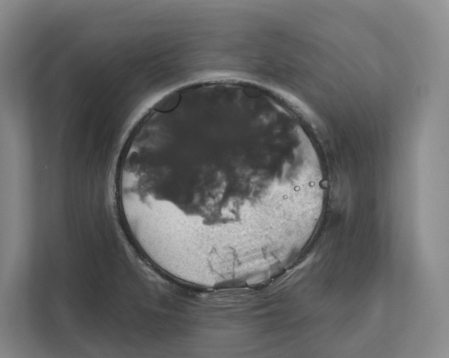 X0000111821279200908201123