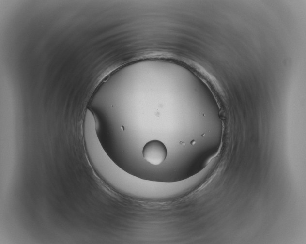 X0000111821281200908201123