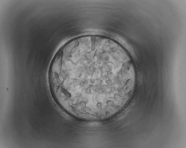 X0000111821283200908201123