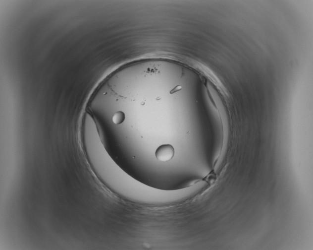 X0000111821284200908201123