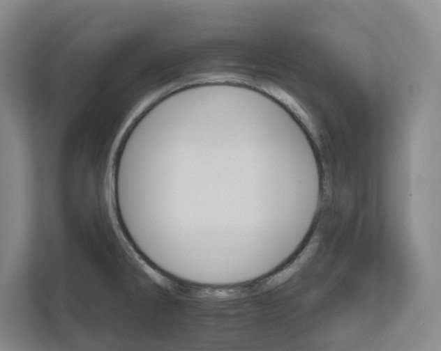 X0000111821286200908201123