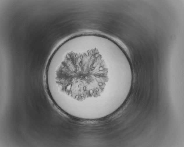 X0000111821287200908201123