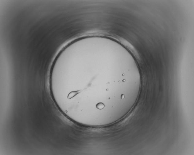 X0000111821288200908201123