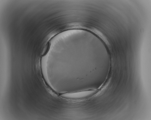 X0000111821289200908201123