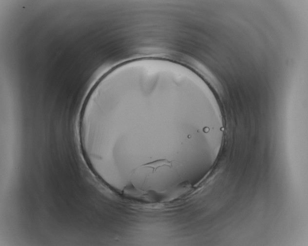 X0000111821291200908201123