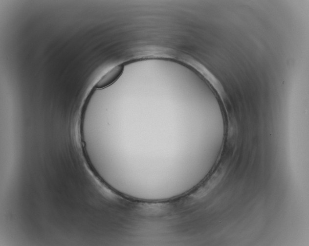 X0000111821293200908201123