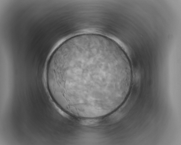 X0000111821294200908201123