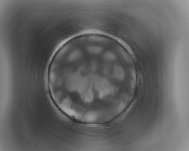 X0000111821295200908201123