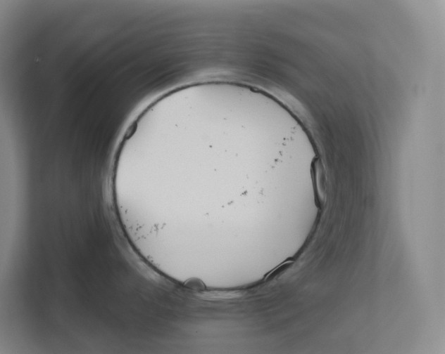 X0000111821296200908201123