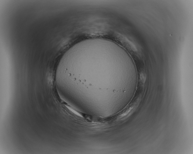 X0000111821300200908201122