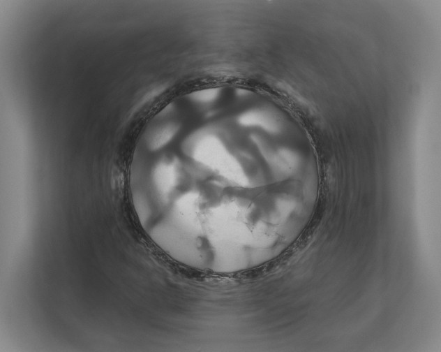 X0000111821302200908201122