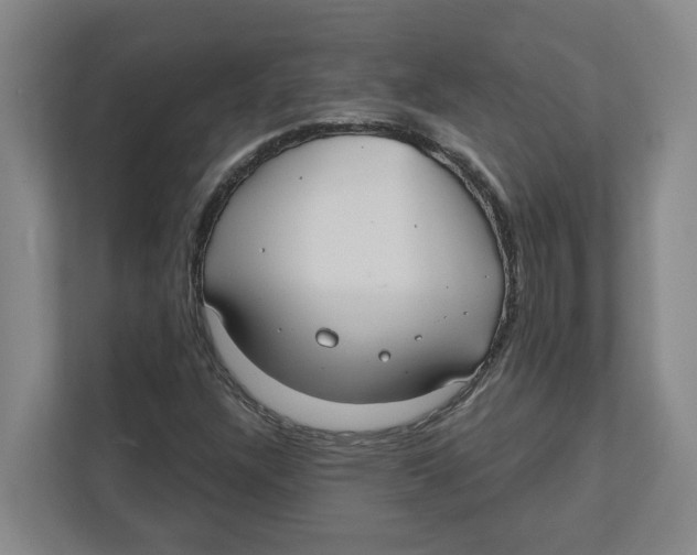 X0000111821304200908201122