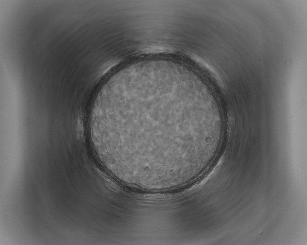 X0000111821305200908201122