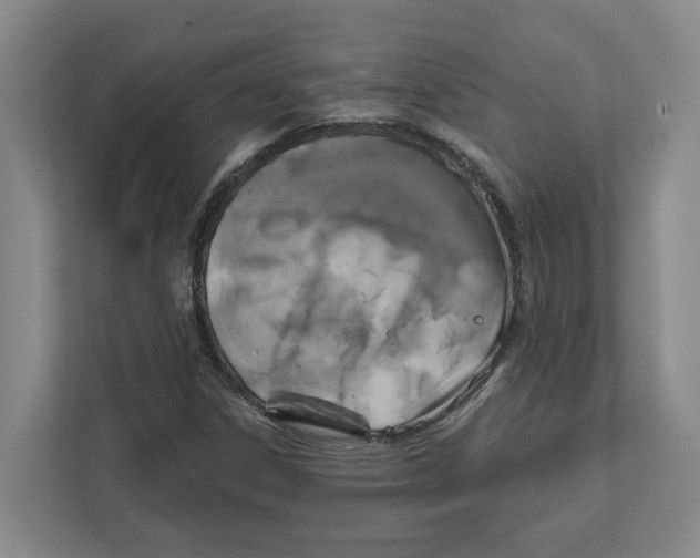 X0000111821306200908201122