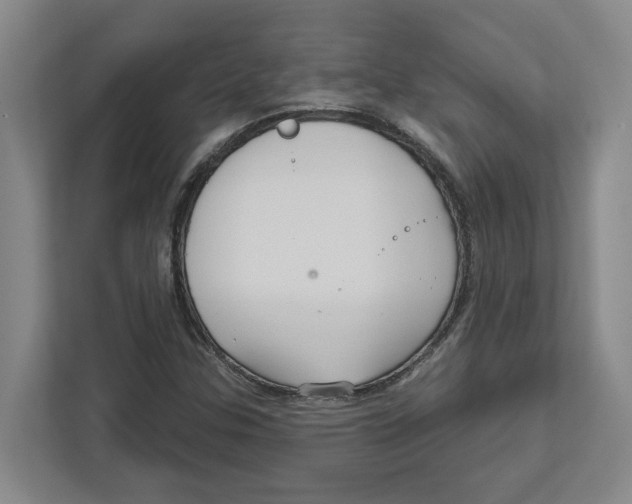 X0000111821307200908201122