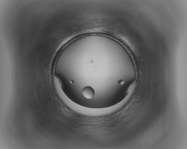 X0000111821308200908201122