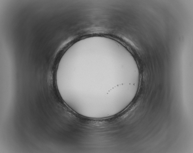 X0000111821309200908201122