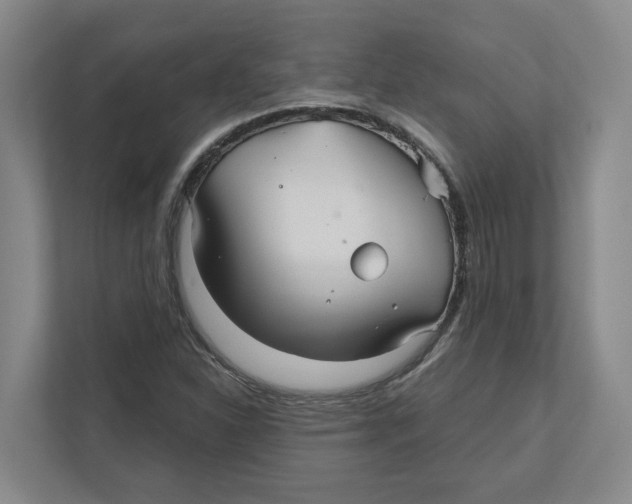 X0000111821310200908201123