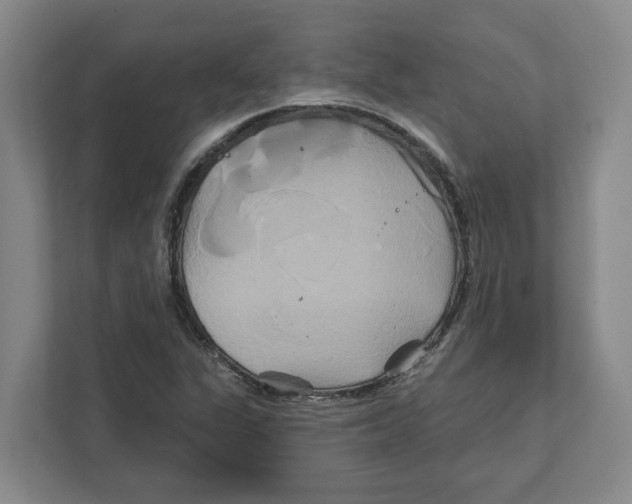 X0000111821311200908201123