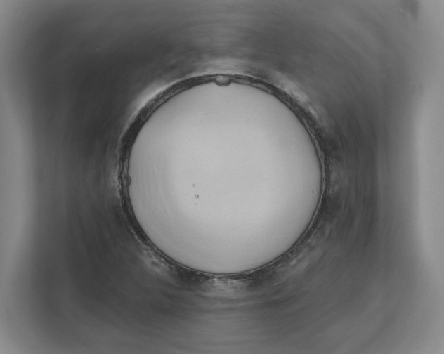 X0000111821312200908201123