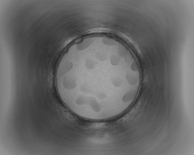 X0000111821313200908201123