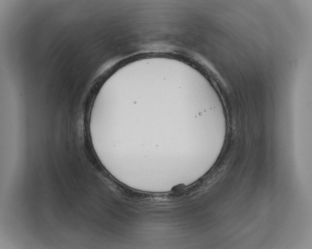 X0000111821315200908201123