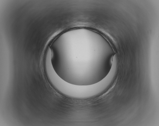 X0000111821317200908201123