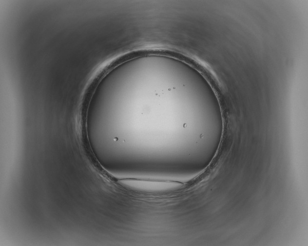 X0000111821319200908201123