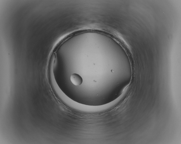 X0000111821320200908201123