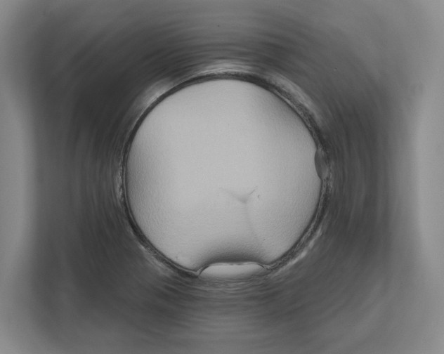 X0000111821321200908201123