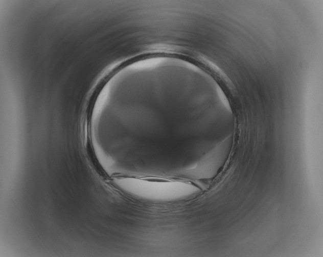 X0000111821323200908201123