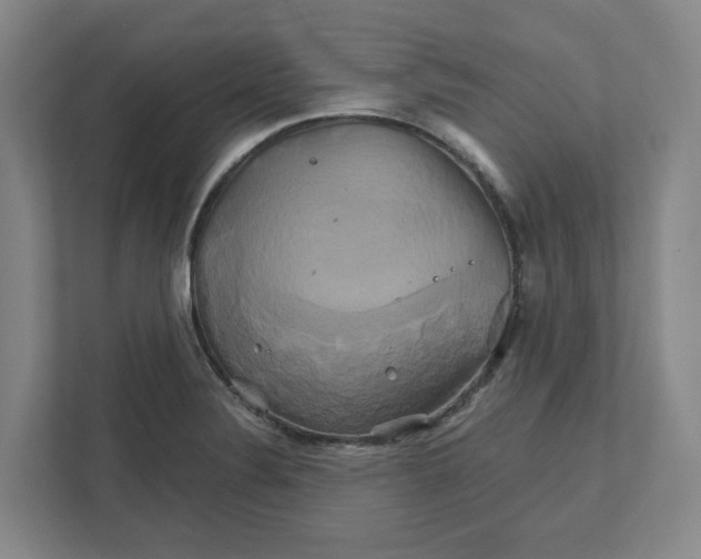 X0000111821324200908201123