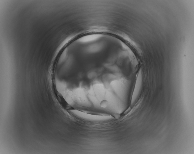 X0000111821325200908201123