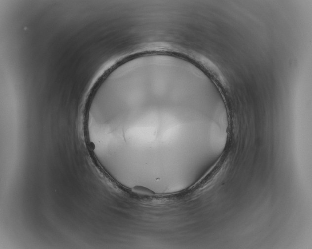 X0000111821326200908201123