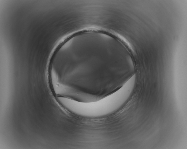 X0000111821327200908201123