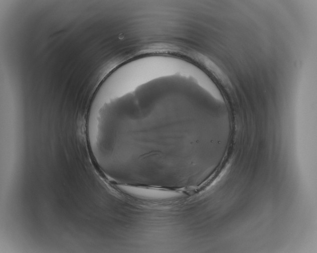 X0000111821329200908201123