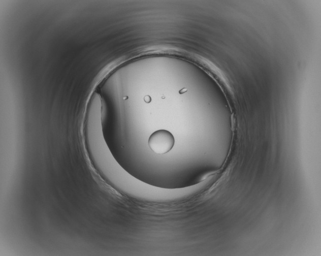 X0000111821330200908201123