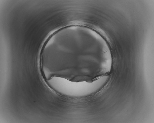 X0000111821331200908201123