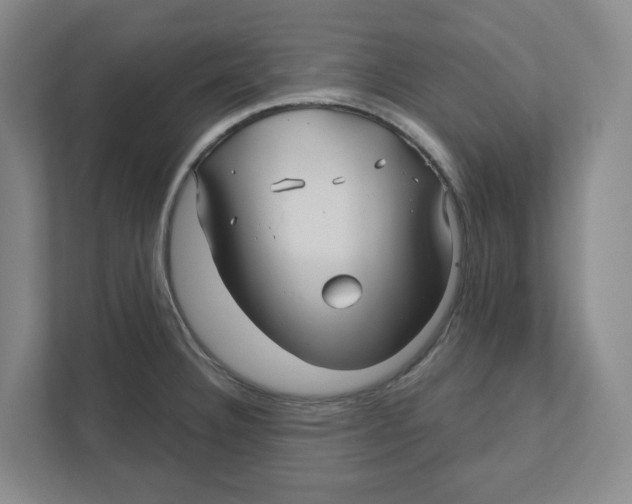 X0000111821332200908201123