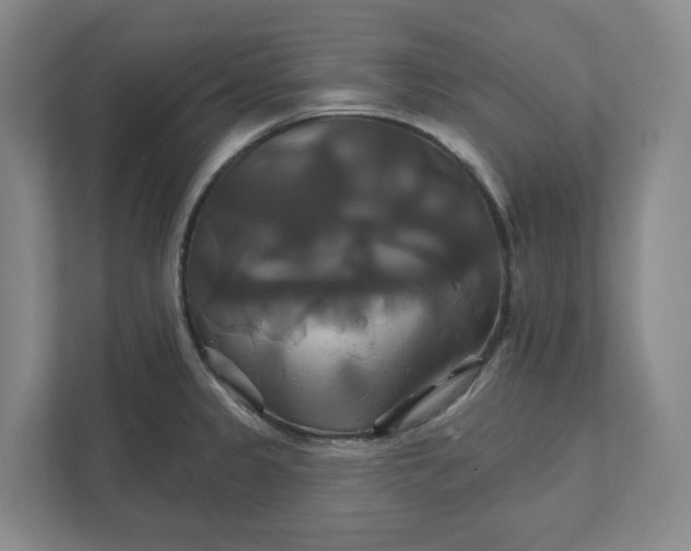 X0000111821333200908201123