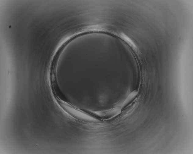 X0000111821334200908201123