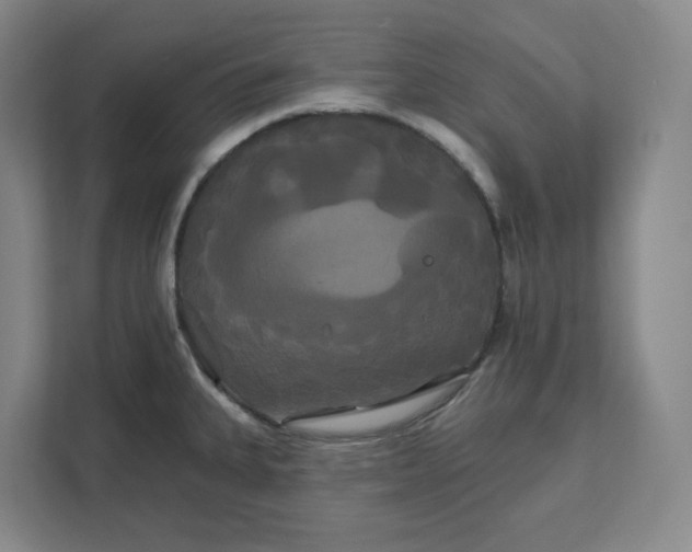 X0000111821335200908201123