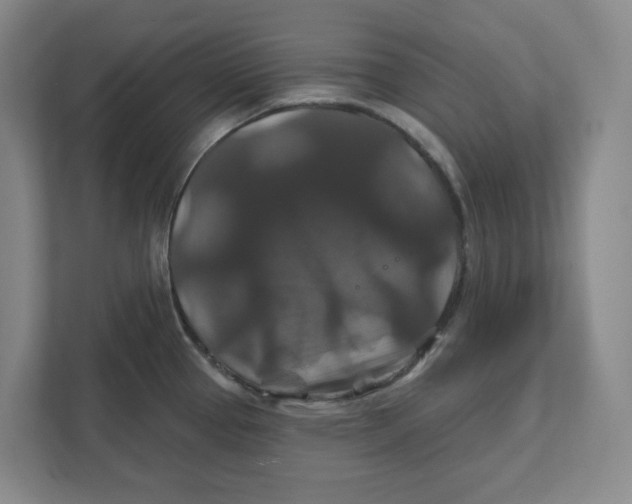 X0000111821337200908201123