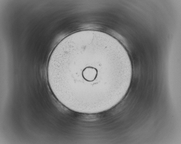 X0000111821338200908201123