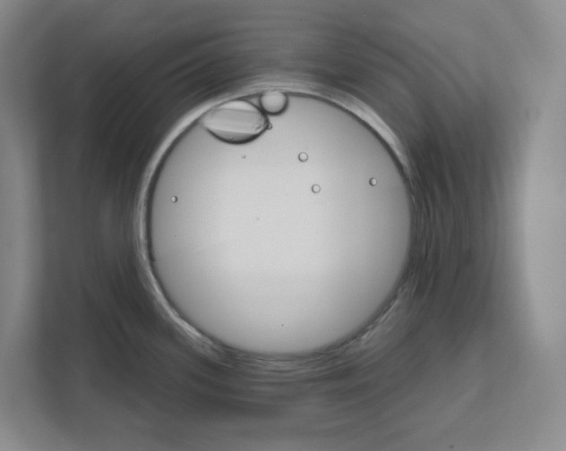 X0000111821339200908201123