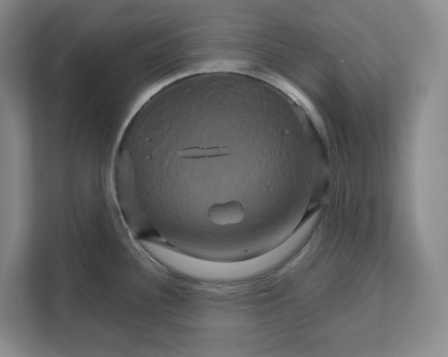 X0000111821340200908201123