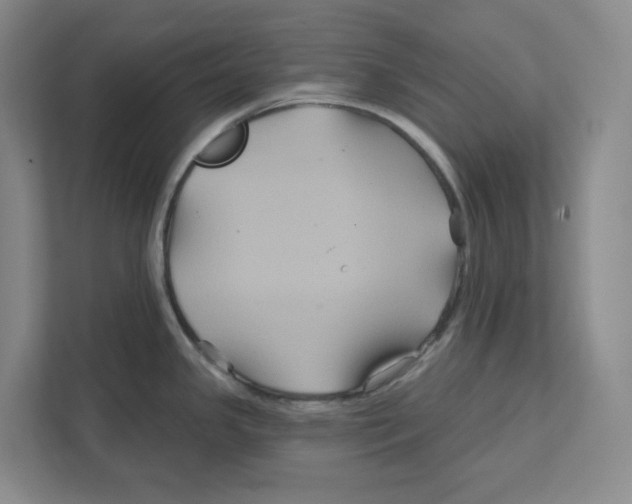 X0000111821341200908201123