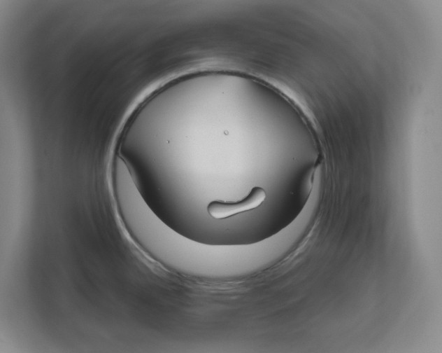 X0000111821342200908201123