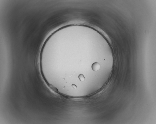 X0000111821343200908201123